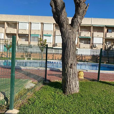 Apartamento Mil Palmeras Pilar de la Horadada Exterior photo